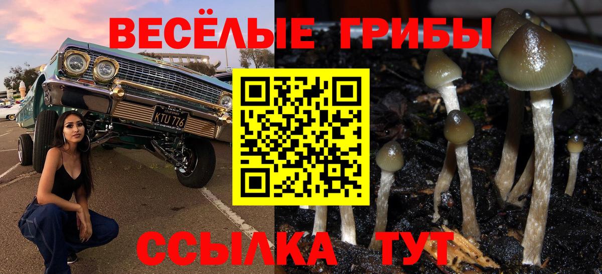 Галлюциногенные грибы GOLDEN TEACHER  Вход с VPN  Глазов 